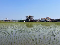 -红海滩国家风景廊道