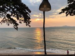 -卷心菜和避孕套餐厅(Pattaya)