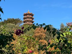 -深圳仙湖植物园