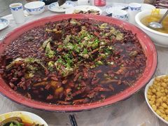 -东吴霸王兔(松青路店)