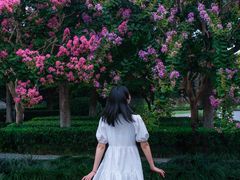 -杭州城北体育公园