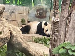 -南昌动物园
