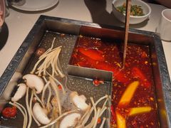 -红鼎坊·老成都火锅(新南门店)