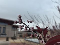 -敦煌莫高国际机场