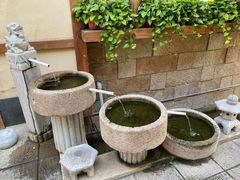 -孙大厨鸽子馆(三元店)