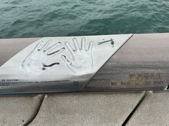 -星光大道