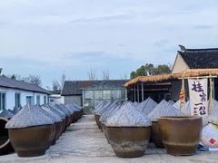 -苏州市吴中区光福窑上花果蜜饯厂