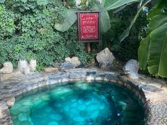 -中家鑫园温泉酒店鑫悦汤泉