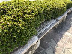 -金森红砖仓库