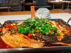 -海岛八号龙虾烧烤田鸡(蓝天路总店)