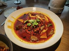 -辛香汇·现炒川菜(淮海路百盛店)