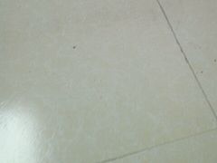 -望海潮海鲜店 特色家常菜(在海一方店)