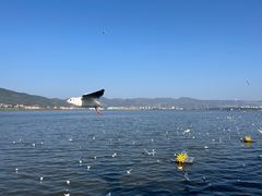 -海埂大坝