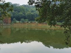 -番禺大夫山森林公园