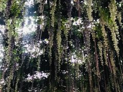 -乌山风景区