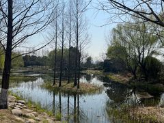 -澹台湖公园