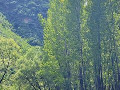-百里山水画廊