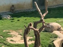 -武汉紫薇都市田园