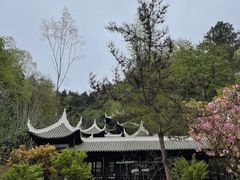 -黔灵山公园