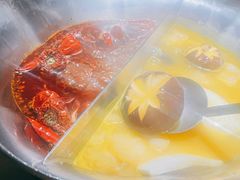 治愈食妆鸳鸯锅（五人）-湊湊火锅·茶憩(石家庄万象城店)