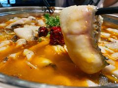 有机黑鱼-龙梅肥肠鱼(明瓦廊店)