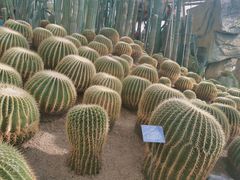 -南山植物园