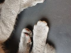 -平行世界·猫咖(首经贸店)