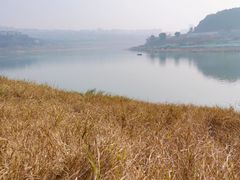 -金海湾滨江公园