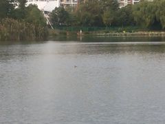 20131029_150157-新江湾城公园