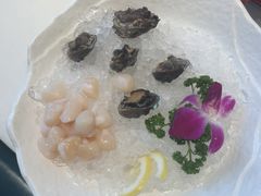 鲍鱼仔拼扇贝丁-纯味斑鱼府(中海环宇荟店)
