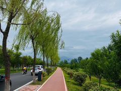 -洨河生态公园