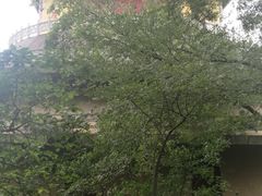 -南京市无想山景区