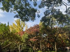 -秋霞圃