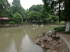 -中共上海市委党校 上海行政学院