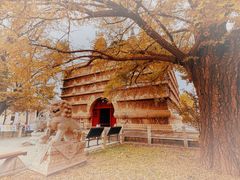 -北京石刻艺术博物馆(五塔寺)