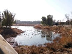 -东郊湿地公园