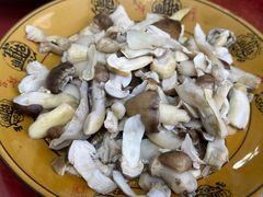 -野菌王牦牛肉汤锅