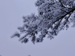 -百色大石围天坑群
