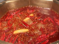 -蜀九香火锅(李家沱店)