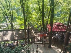 -巴倒烫陆派火锅山庄(南山总店)