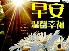 -北京稻香村(大屯路专卖店)