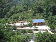 -江西阳明山国家森林公园