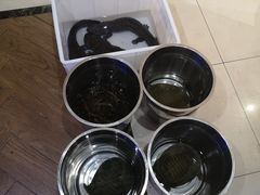 -龙小海荆沙鸽子店(瑞安街店)