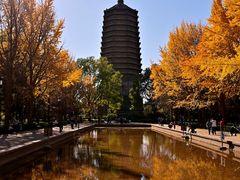 -玲珑塔公园