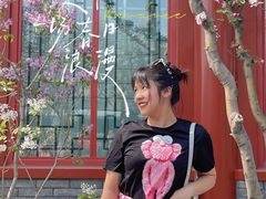 -百花深处胡同
