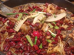 -老板恋上鱼(印象城店)