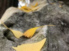 -宝界山林公园