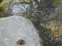 -碓臼峪自然风景区