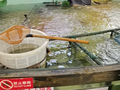 -楚鱼王·河鲜·湖北菜(华农店)