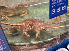 巨大的螃蟹-百姓渔村(南中环店)